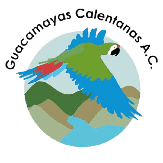 Logo Guacamayas Caletanas A.C.